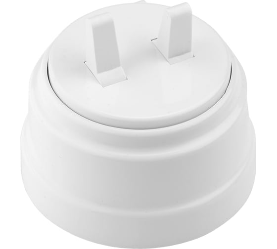 Изображение товара Тумблерный 2-клавишный выключатель Bylectrica А510-2204 10А открытой установки, серия РЕТРО, белый