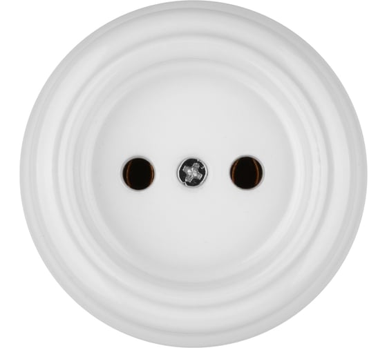 Изображение товара Розетка TDM ELECTRIC фарфоровая 2П 10А 250В белая, серия "Болонь" SQ1820-0004