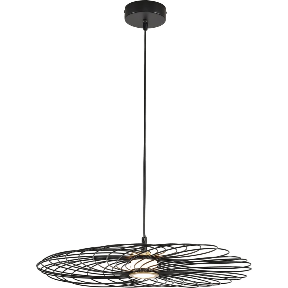 Изображение товара Подвес Lumion Camomile LED 10W дизайнерский модерн регулируемый