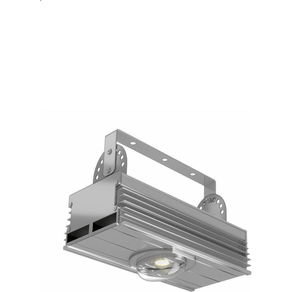 Изображение товара Промышленный светодиодный светильник Элина-Т 100 Вт IP67 алюминий серебро