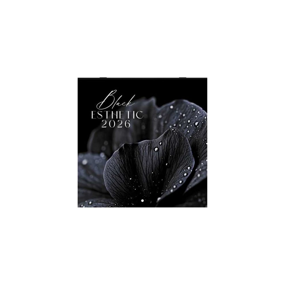 Изображение товара Настенный перекидной календарь BRAUBERG 2026, 12 листов, Black esthetic