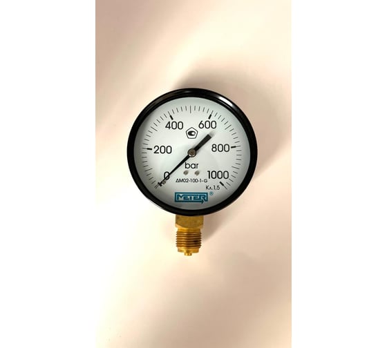 Изображение товара Манометр МЕТЕР ДМ 02-100-1-G Р=0..1000 бар G1/2 кл.1,5 694
