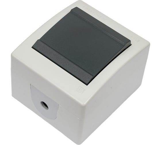 Изображение товара Клавишный однополюсный выключатель Aling-conel POWER IP44 10AX 250В открытой установки, серый 251.1A 117019