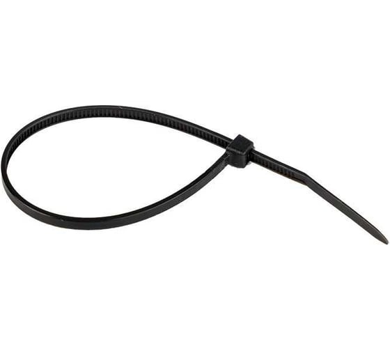 Изображение товара Хомут ООО ПКФ Сварком нейлоновый, 2,5x200мм, черный, 100шт, упаковка 2шт СанТех s042018