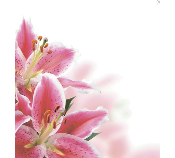 Изображение товара Тканевая шторка для ванны Melodia della vita 180х200 см Розовые лилии MZ-140 20912