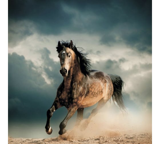 Изображение товара Тканевая шторка для ванны Melodia della vita 180х200см Гордый скакун MZ-136 20908