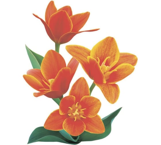 Изображение товара Тканевая шторка для ванны Melodia della vita 180х200 см Оранжевое настроение MZ-144 21031