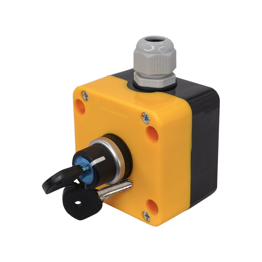 Изображение товара Переключатель силовой на два положения с ключом НО IP65