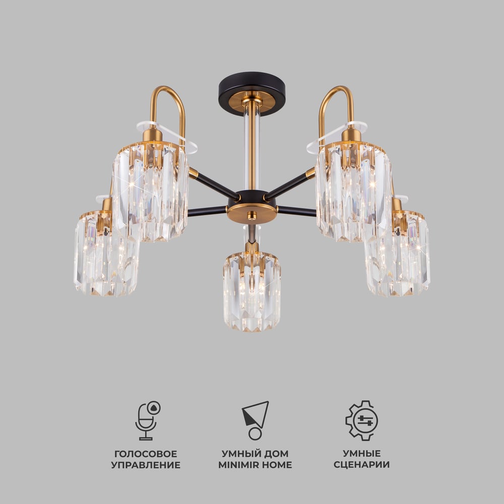 Изображение товара Потолочный светильник Eurosvet 70090 5 черный с декоративным стилем лофт