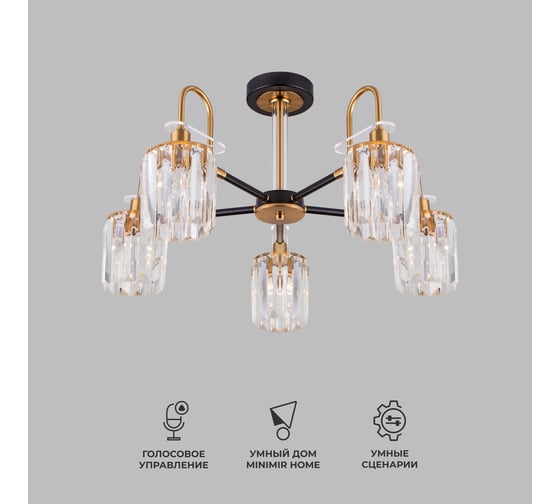 Изображение товара Потолочный светильник Eurosvet 70090 5 черный a045144