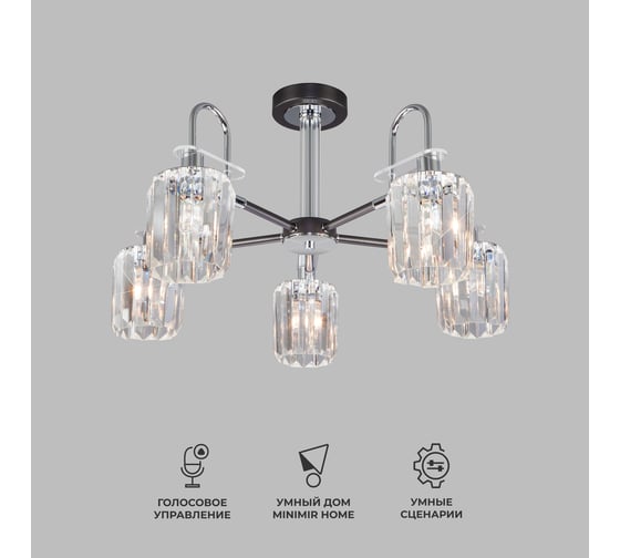 Изображение товара Потолочный светильник Eurosvet 70090 5 графит a045141