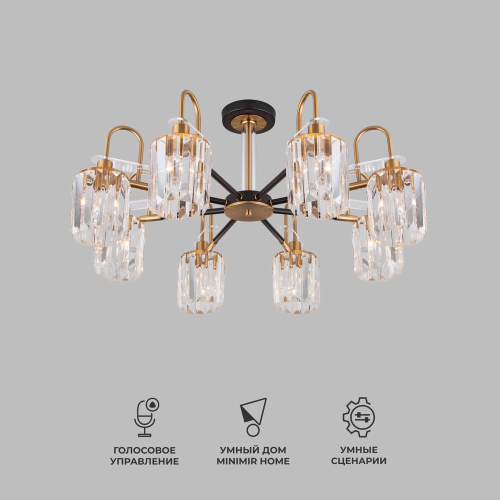 Изображение товара Потолочный светильник Eurosvet 70090 8 черный для стильного интерьера