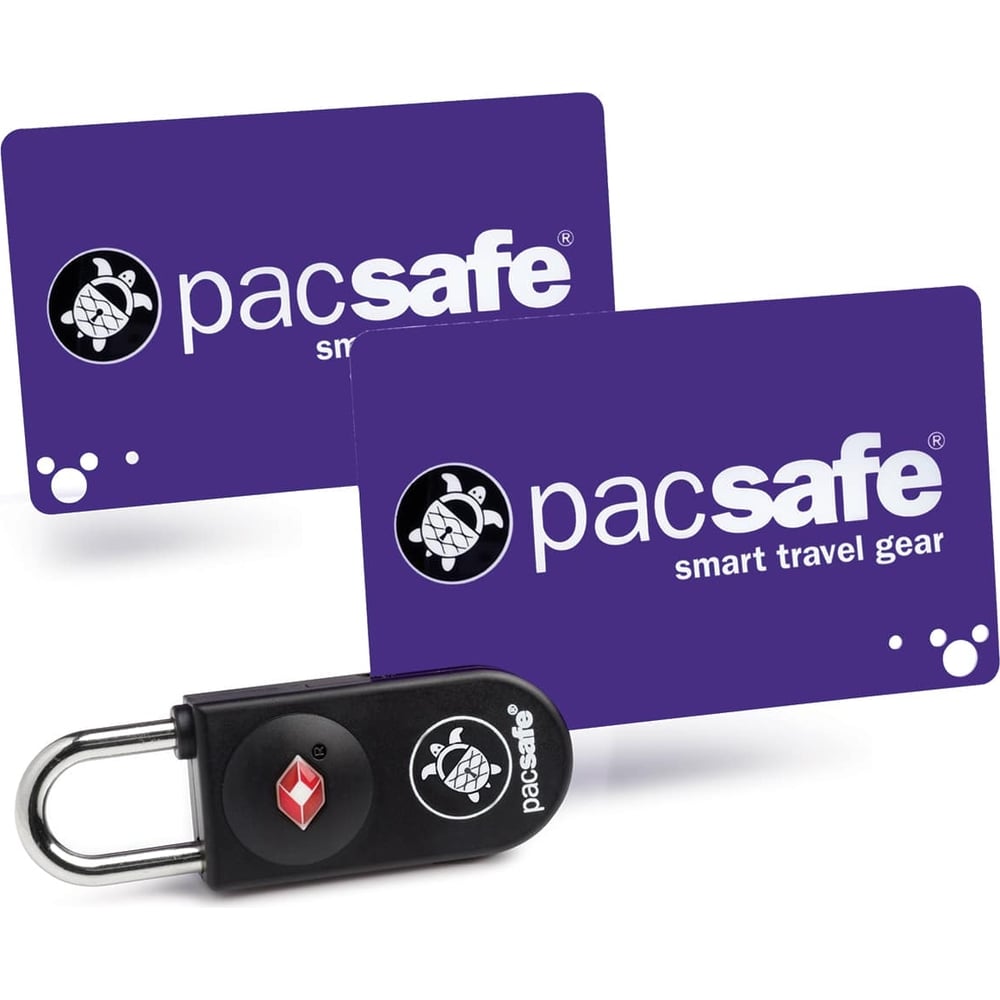 фото Замок pacsafe