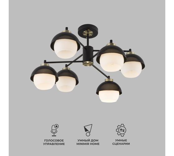 Изображение товара Потолочный светильник Eurosvet 70106 6 черный a044934