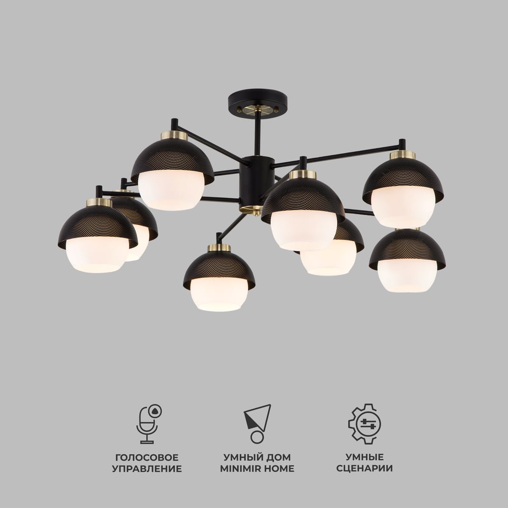 Изображение товара Потолочный светильник Eurosvet 70106 8 черный для лофта