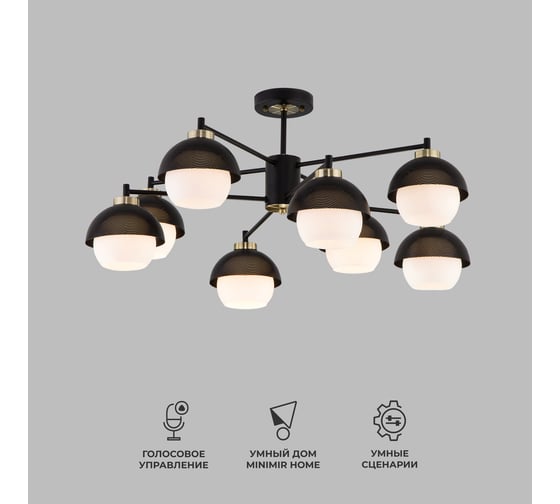Изображение товара Потолочный светильник Eurosvet 70106 8 черный a044935