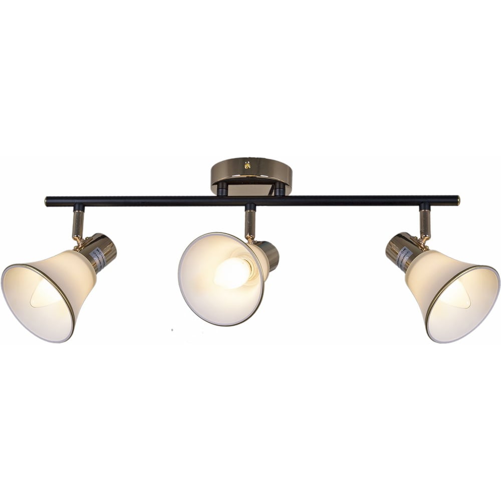 Изображение товара Спот Reluce 05901-0.8-03 BK+FGD современный настенно-потолочный светильник