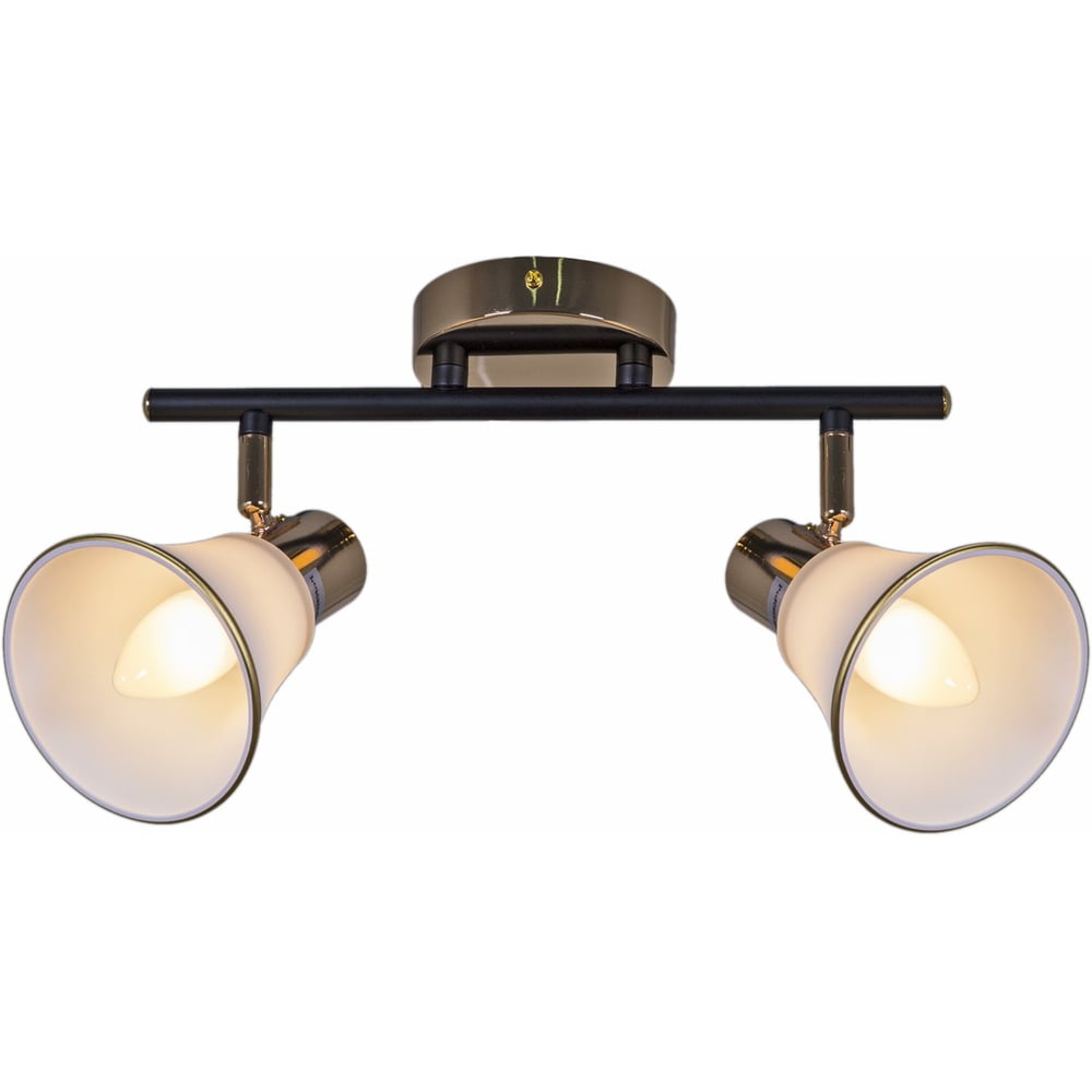 Изображение товара Спот настенно-потолочный Reluce 05901-0.8-02 BK+FGD стиль модерн 2 лампы 80 Вт