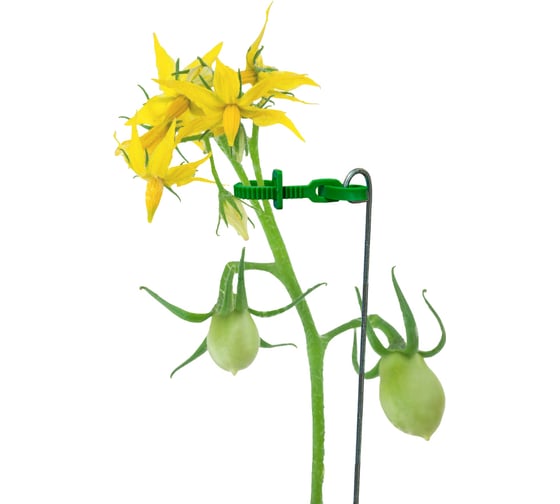 Изображение товара Опора для рассады и растений Delta-Park Лиана-1 зеленая opora_5
