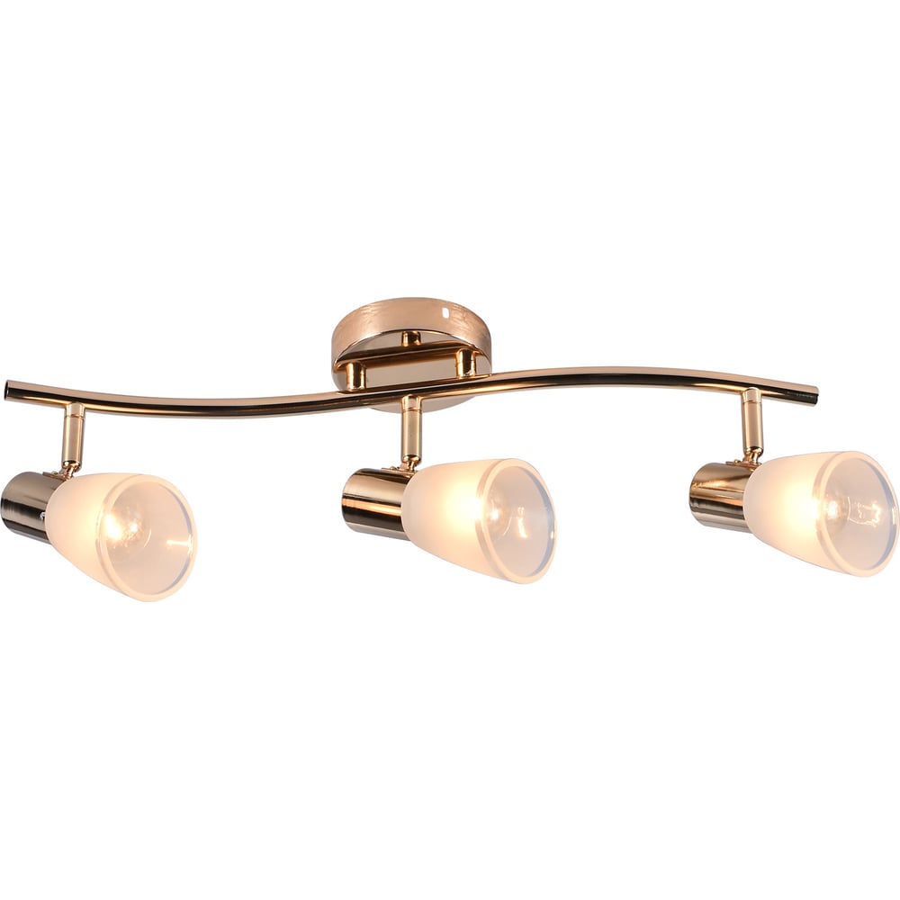 Изображение товара Спот Reluce 05947-0.8-03 FGD настенно-потолочный светильник с 3 лампами