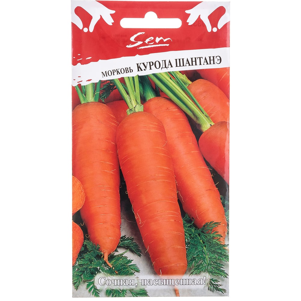 Морковь семена РУССКИЙ ОГОРОД 319332 Курода Шантанэ - фото 1