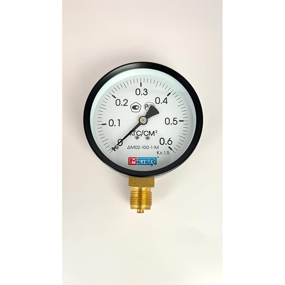Изображение товара Манометр МЕТЕР ДМ 02-100-1-М радиальное соединение точность IP43