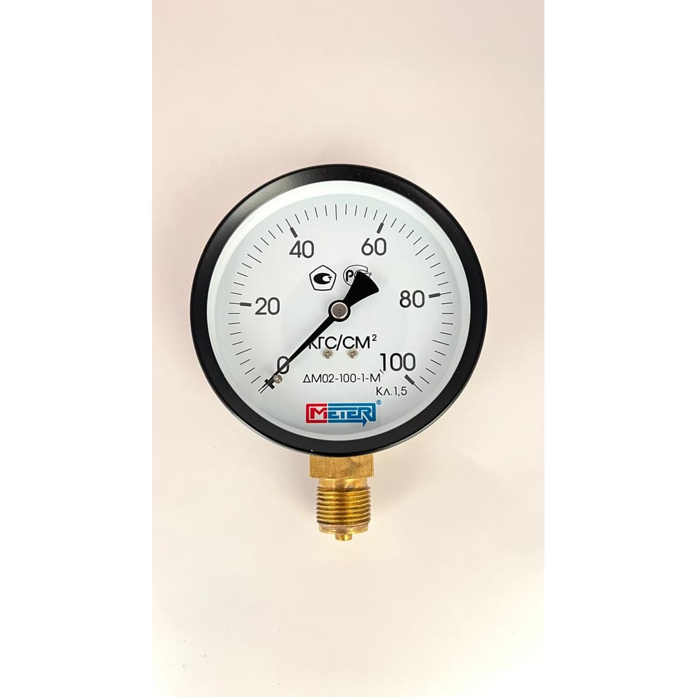 Изображение товара Манометр МЕТЕР ДМ 02-100-1-М радиальное соединение 100 мм