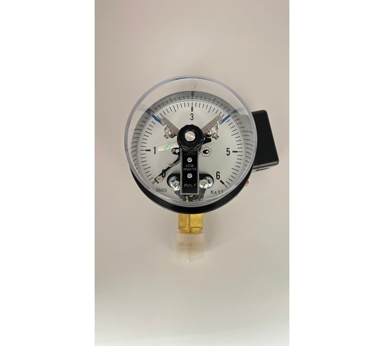 Изображение товара Манометр электроконтактный МЕТЕР ДМ 03-V-100-1-G Р=0..6 бар G1/2 кл.1,5 8284
