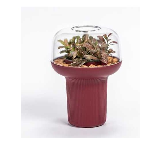 Изображение товара Кашпо Scheurich Гумидарий Humidarium d19см h20см 0.7л красное вино 073528