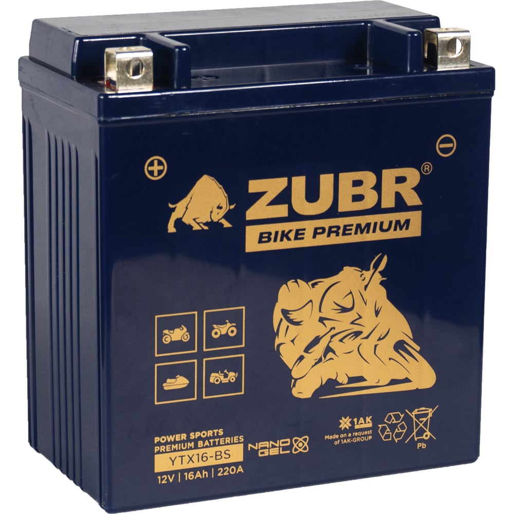 Изображение товара Аккумуляторная батарея ZUBR Мотоаккумулятор 12V 16 Ah BIKE PREMIUM YTX16-BS L+, для мотоцикла, скутера, гидроцикла, квадроцикла, снегохода и генератора 150x86x161 YTX16-BS (ZubrPrem)