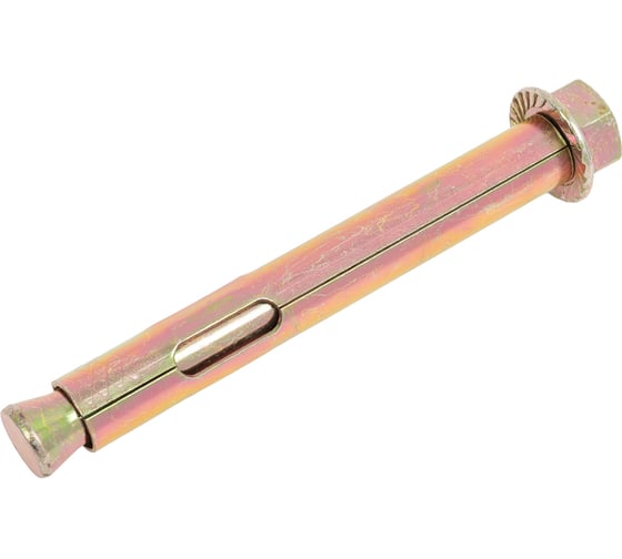 Изображение товара Анкерный болт с гайкой SWFS 12х100, 2 шт. пакетик тов-111573