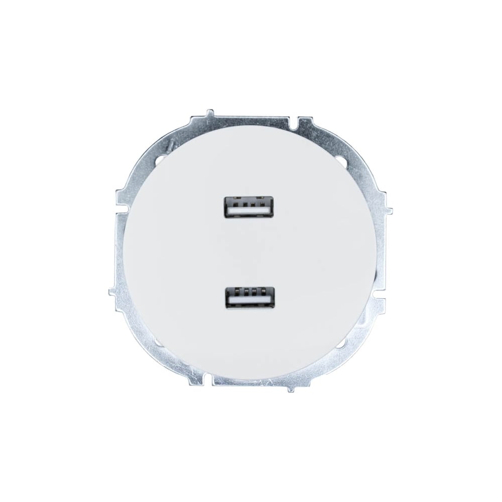Изображение товара Розетка USB Lezard OSEN белая встроенная механическая с 2 гнездами IP20