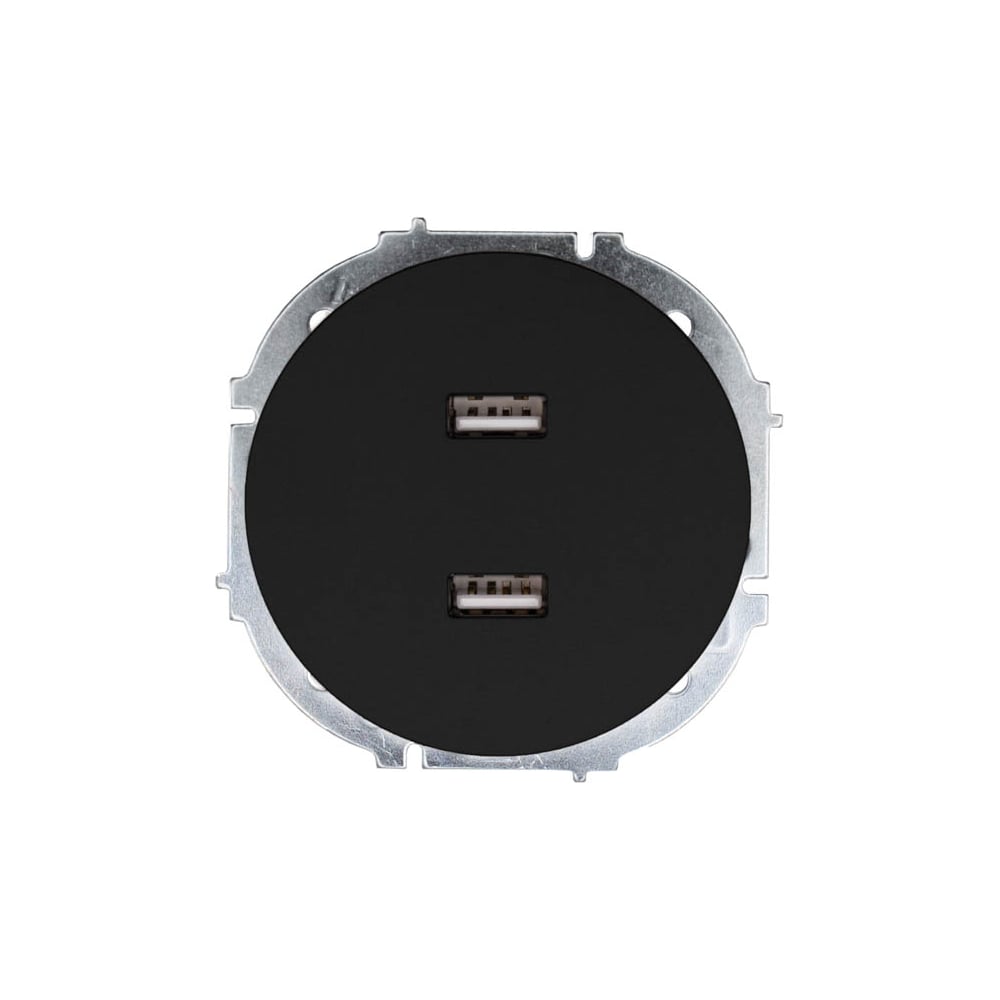 Изображение товара Розетка Lezard OSEN с USB разъемом черный бархат встроенная IP20