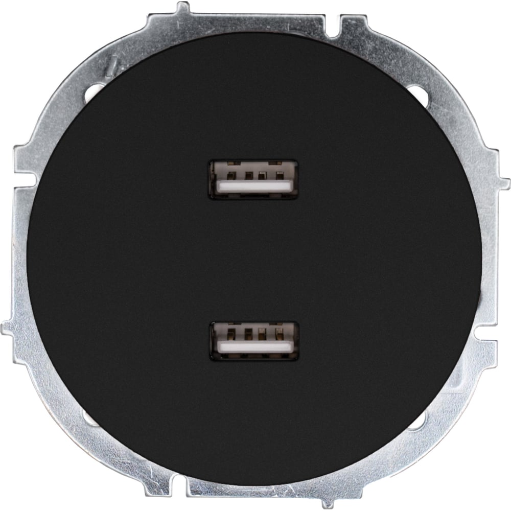 Изображение товара Розетка Lezard OSEN с USB разъемом черный бархат встроенная IP20