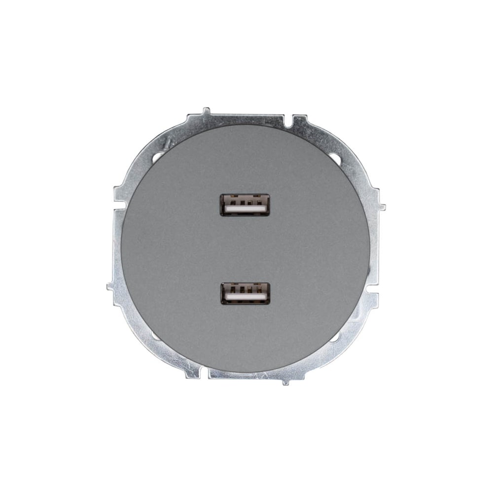 Изображение товара Розетка 2-ая Lezard OSEN USB разъем серый матовый