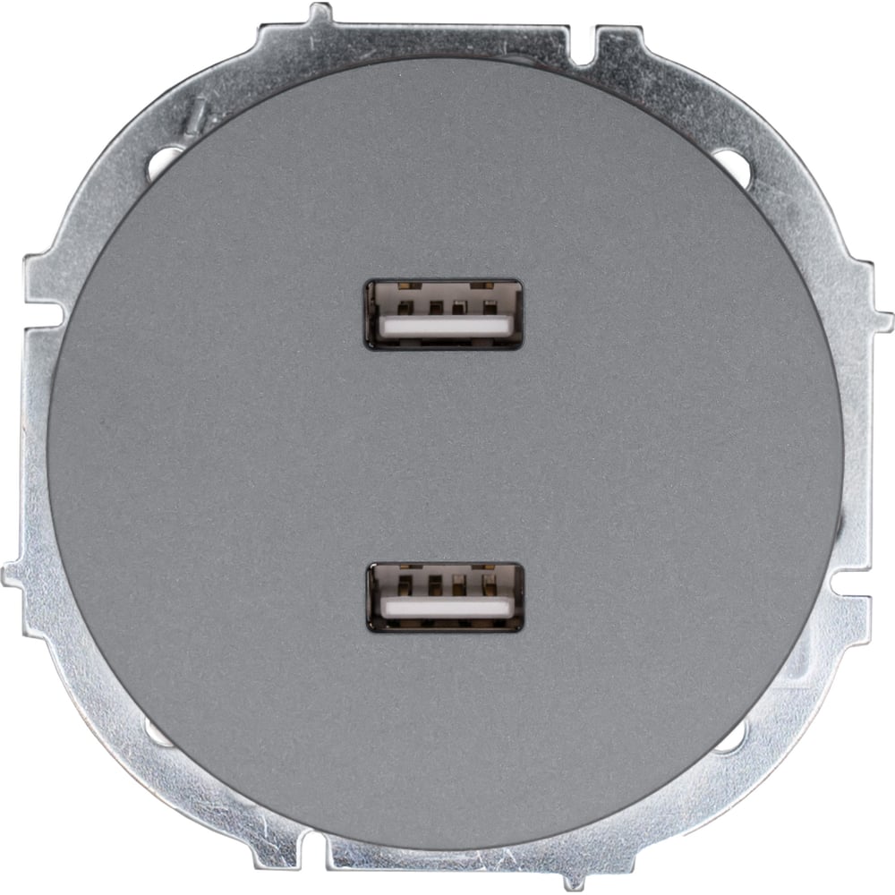 Изображение товара Розетка 2-ая Lezard OSEN USB разъем серый матовый