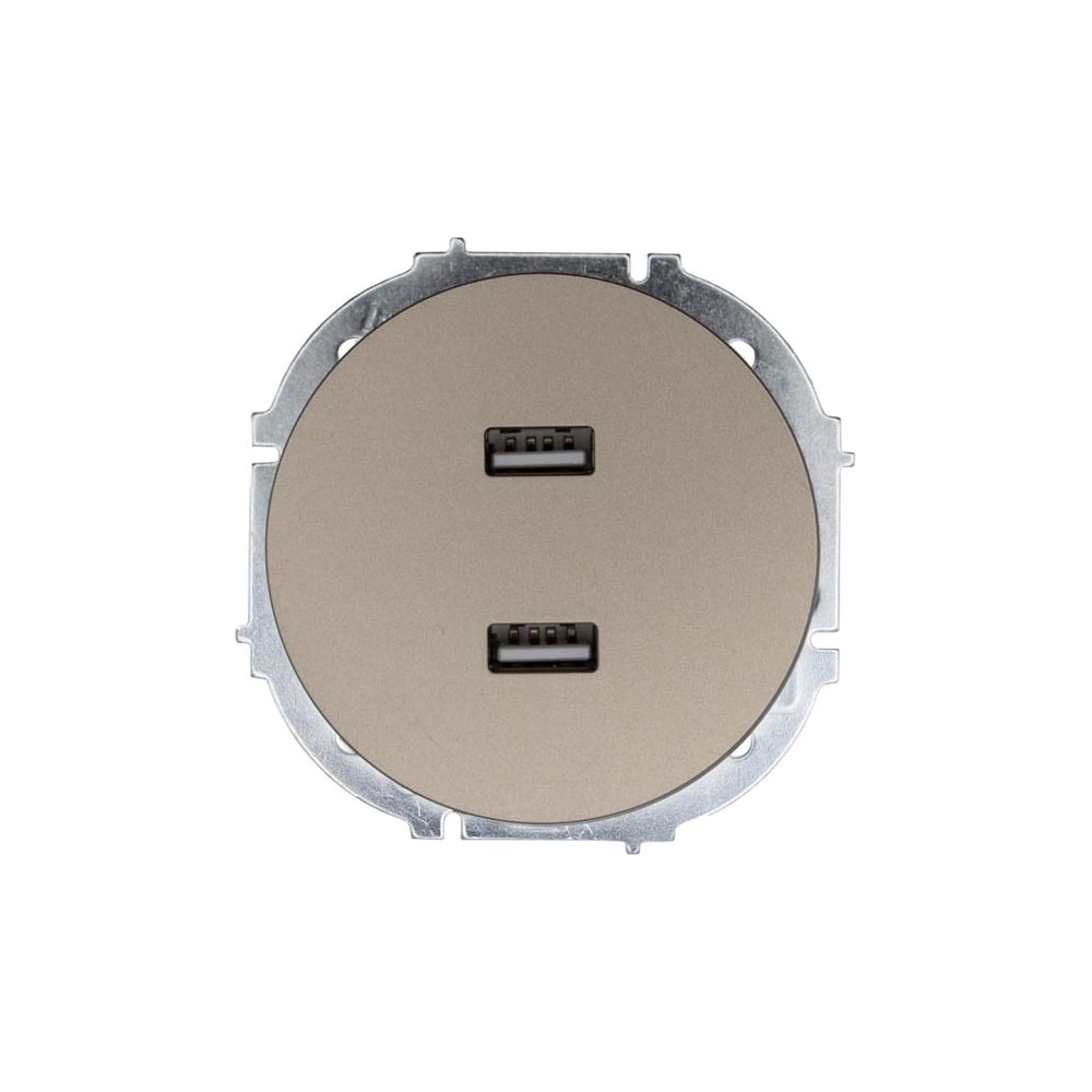 Изображение товара Розетка USB встраиваемая Lezard OSEN, титановый цвет для зарядки гаджетов