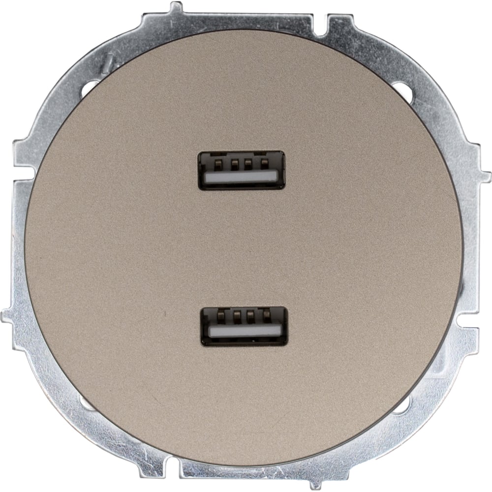 Изображение товара Розетка Lezard OSEN с двумя USB разъемами, титан, встроенная, IP20