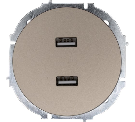Изображение товара Розетка 2-ая USB разъем Lezard OSEN титан 743-3788-192