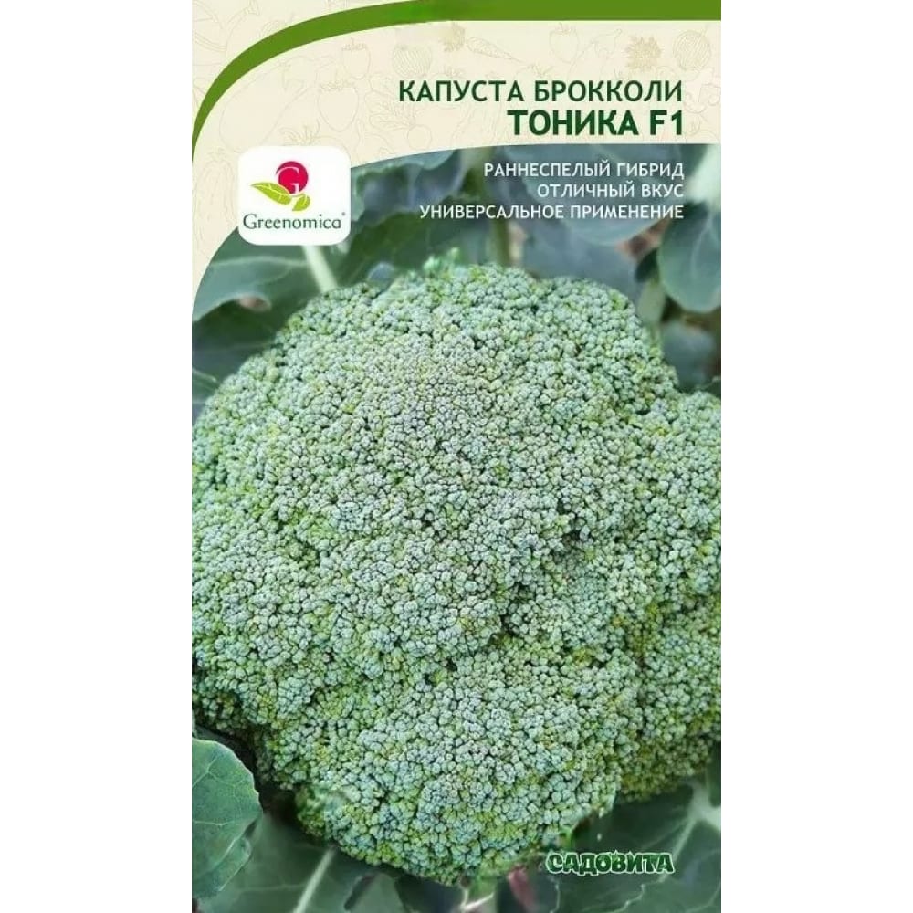 Капуста-брокколи капуста Садовита капуста брокколи мультивитамин