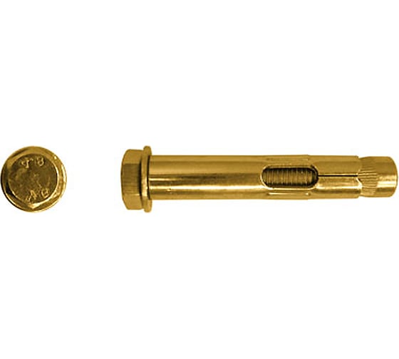 Изображение товара Анкерный болт SWFS 10х55, 2 шт. пакетик тов-111562