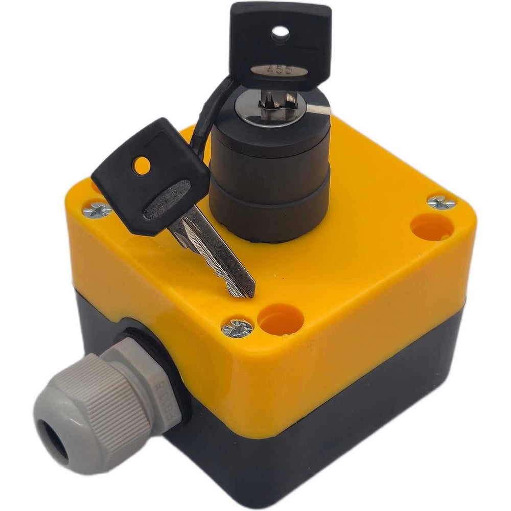 Изображение товара Пост кнопочный Briswik ПКУ21ЛП1-111-65 УХЛ2 КПЕ1610К с сальником