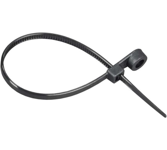 Изображение товара Хомут IEK P6.6 с винтовым креплением чёрный 7,6х300мм 100шт/упак UHH12-D076-300-100-K02