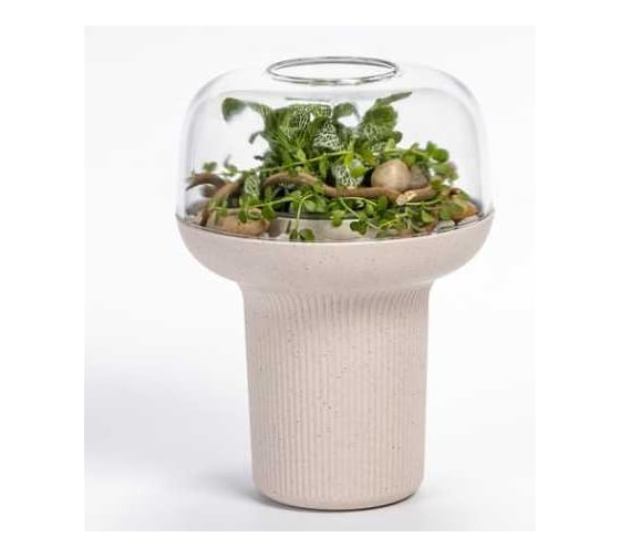 Изображение товара Кашпо Scheurich Гумидарий Humidarium d19см, h20см, 0.7л, крем 073527