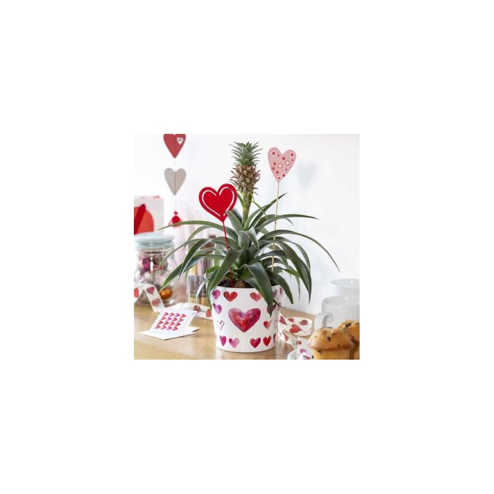 Изображение товара Керамическое кашпо Scheurich Heartbeat d13см для растений и цветов