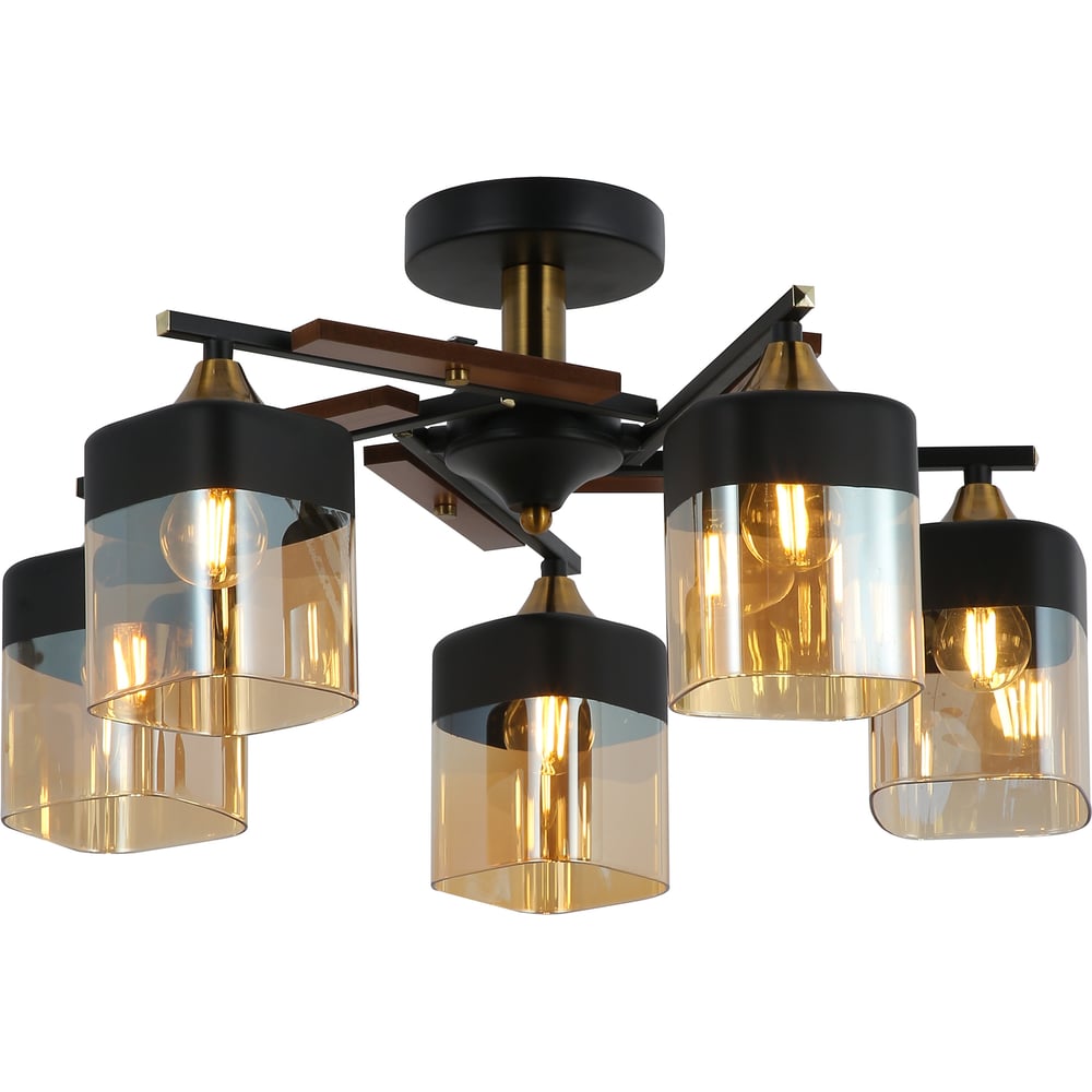 Изображение товара Люстра Freya FR5154PL-05B стиль лофт на 5 ламп с черным цветом