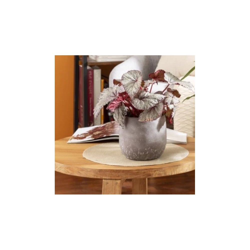 Изображение товара Кофо керамическое кашпо Washed Brown д13см коричневое для цветов