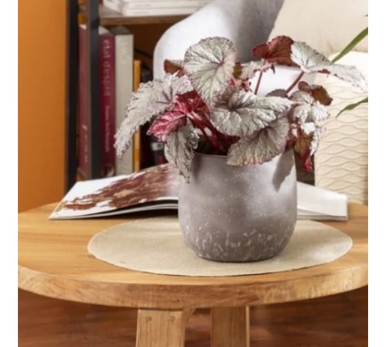 Изображение товара Кашпо Scheurich керамика Washed Brown d13см коричневый h12cm 073632