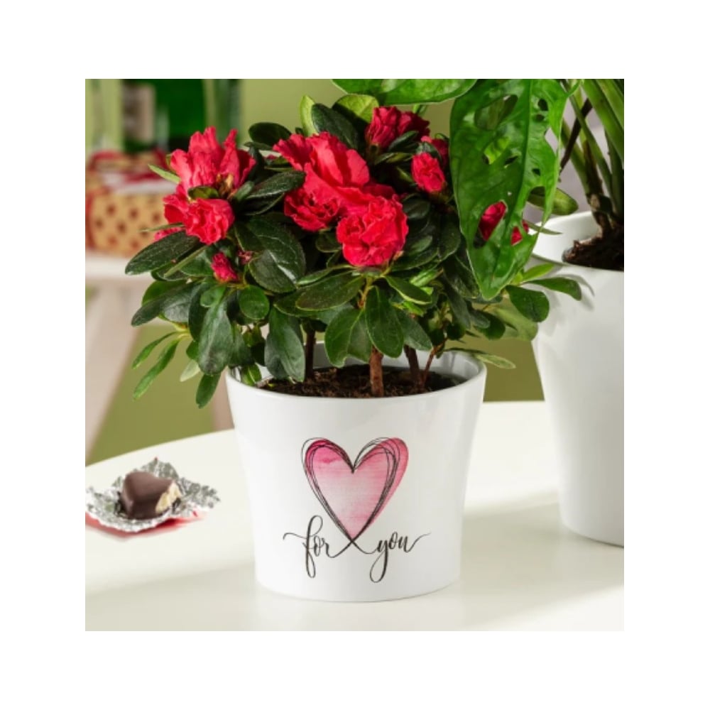 Изображение товара Кашпо Scheurich керамика With Love d13см с любовью h12cm 073621