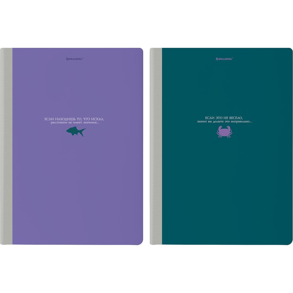 Изображение товара Бизнес-тетради BRAUBERG ДЭК А4 96 листов 2 шт. твердая обложка